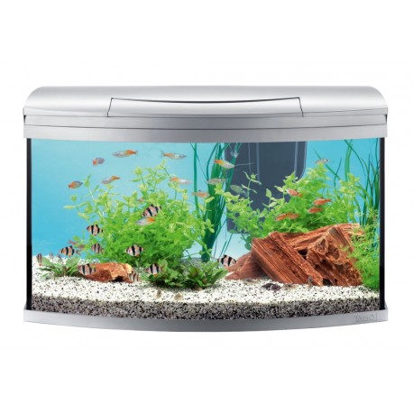 Aquariums (from 100 Liter) -