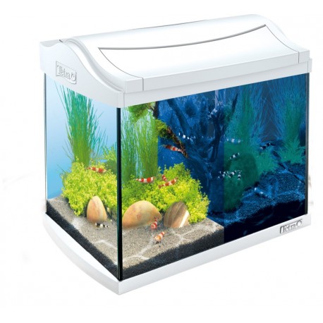 TETRA AquaArt LED Aquarium Goldfish 30 l 