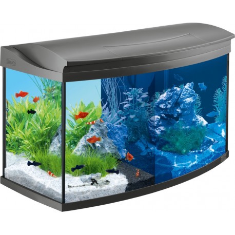 Aquariums (from 100 Liter) -